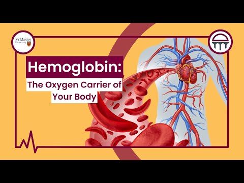 Hemoglobin