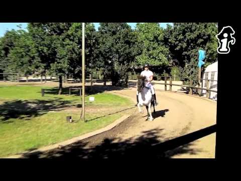 OSI Grenzdyck 2012 - www.isibless.de