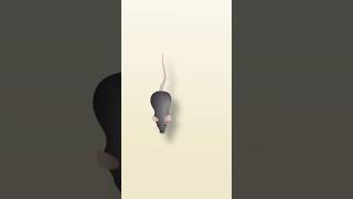 Download lagu Mouse for cats to watch 🐭📺😻 mp3