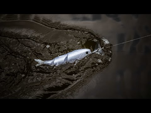 INSANE Topwater Strikes Captured In SUPER SLOW-MO