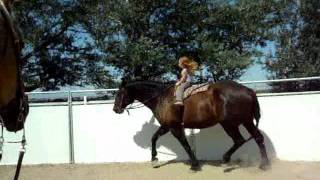 Sianna & Cessna - 3 year old girl riding 16.3 hand horse