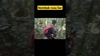 Download lagu Nembak rusa liar pake PCP bocap 500cc, yg ga suka skip #nembakrusa #nembakkijang #shorts mp3