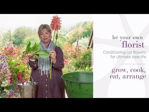 Be Your Own Florist Mini-Series: Conditioning cut flowers for ultimate vase life