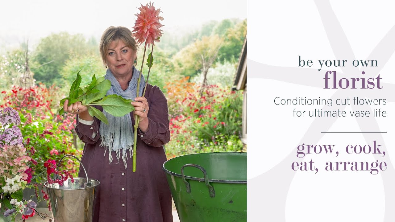 Be Your Own Florist Mini-Series: Conditioning cut flowers for ultimate vase life