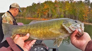Smallmouth Fishing in North Carolina! (Lake James)