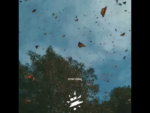 မာယာချိုချဥ် / / Eternal Gosh