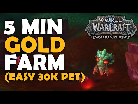 5 Minute Gold Farm: Ruby Droplet 30k Pet Gold Farm Dragonflight WoW