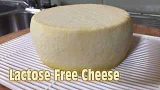 Lactose Free Cheese - In The Style of Caerphilly