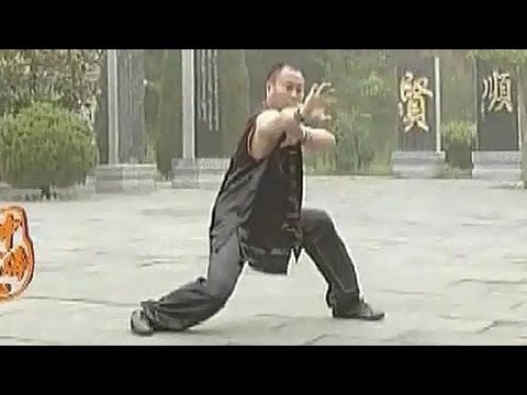 Shaolin tiger kung fu