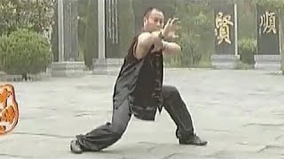 Shaolin tiger kung fu