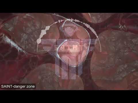 SAINT- danger zone