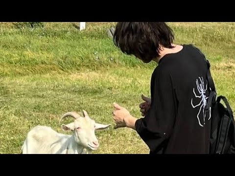 Shadowraze, jzxdx, kusaka6e - skyline ryodan (фул+эдит)