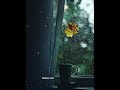 Malayalam Song Status Malayalam Song Malayalam Song Whatsapp Status