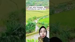 Download lagu BIKIN NGAKAK KATA KATA LUCU #masukberanda #lucu #katamutiara #katakatalucu #bikinngakak #humor #fyp mp3