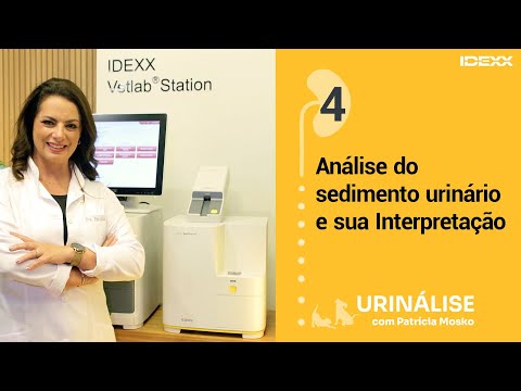 Aula #4🟡 URINÁLISE com Patrícia Mosko