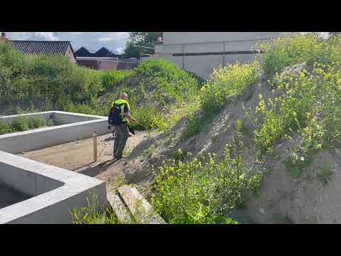 Speurhond Terheijden 13-06-2022 Speurhond Terheijden 13-06-2022