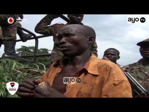 Kakamatwa na Bangi Kagera lakini alivyojitetea kila mtu akacheka