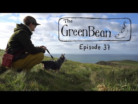 The Green Bean Podcast Episode 37