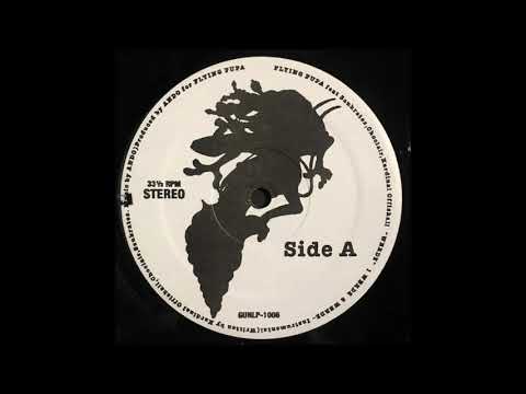 Flying Pupa - Werdz (2000)