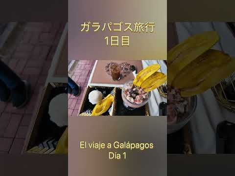 ガラパゴス旅行-1日目- El viaje a Galápagos día 1