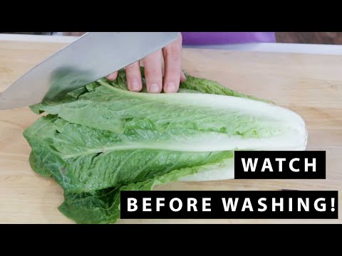 How to Cut Romaine Lettuce | For Beginners