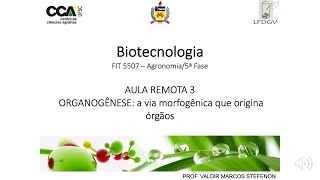 3.Biotec_AulaRemota3 - Organogênese