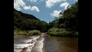 師法自然快樂學習--山林探索安全冒險趣 預告片縮圖
