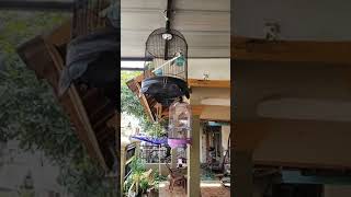 Download lagu LB batman mp3