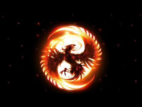 OG.Fly  MMR Phoenix 13 Kills (Match ID : 3285828615)