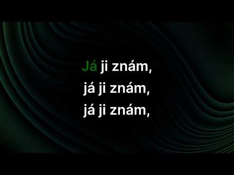 Helena Vondráčková – Lipovou alejí (karaoke)