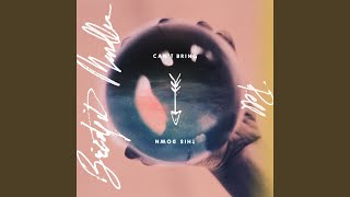 Can't Bring This Down