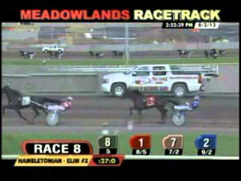 Hambletonian Elimination 2013 -Creatine