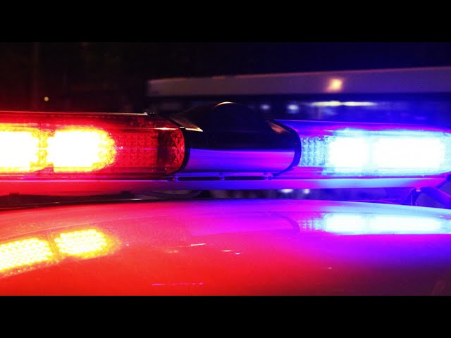 Взял покататься