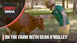 Sean O’Malley gives us a tour of his new farm in Arizona | UFC 292 | ESPN MMA