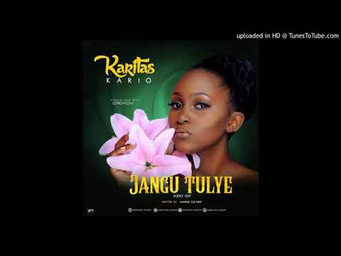 Jangu Tulye Official Audio