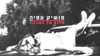 מלכה של השכונה Moshik Afia