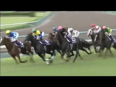 2017.06.25 Takarazuka Kinen (JPN) - Satono Crown