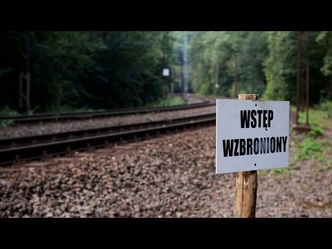 POLEN - Militär inspiziert angeblichen Fundort des Nazi-Zugs