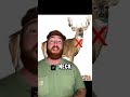 The Top 4 BEST Places To Hit A Deer Hunting Deerhunting