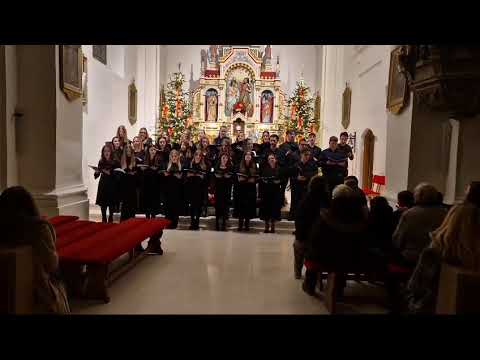 Zbor mladih Santo - Amo, nebeski anđeli