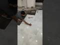 Vitrified Tiles For House Living Room 2 4 Tiles Fitting Floor Tiles Design Tiles Marble Granite