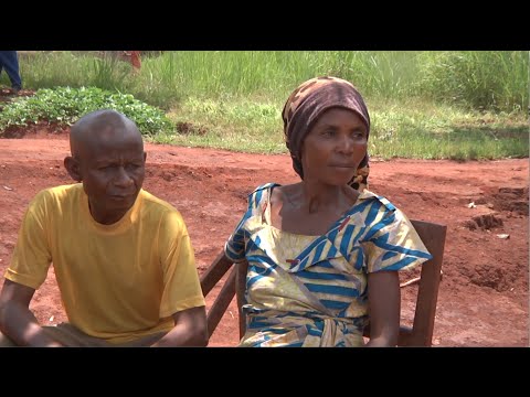 download lagu mp3 mp4 Diana Jenkins, download lagu Diana Jenkins gratis, unduh video klip Diana Jenkins