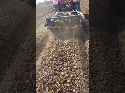 , title : 'Potato Harvesting Machine | आलू काटने की मशीन'