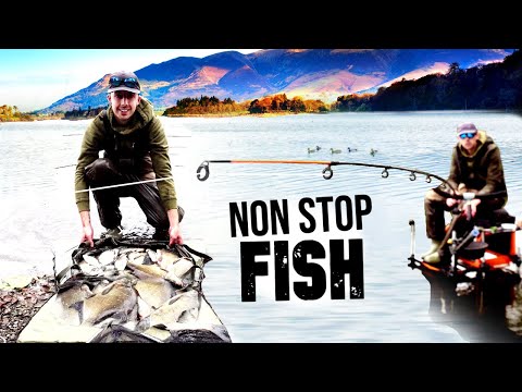 FEEDER FISHING ESTHWAITE WATER - HUGE BREAM CATCH