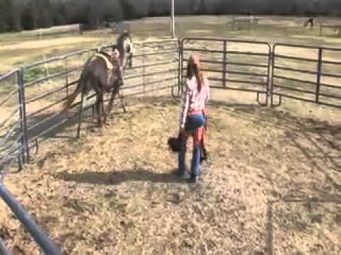 colt starting with Hilda Keller