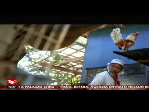 Fukushima, l'uomo che vive con gli animali