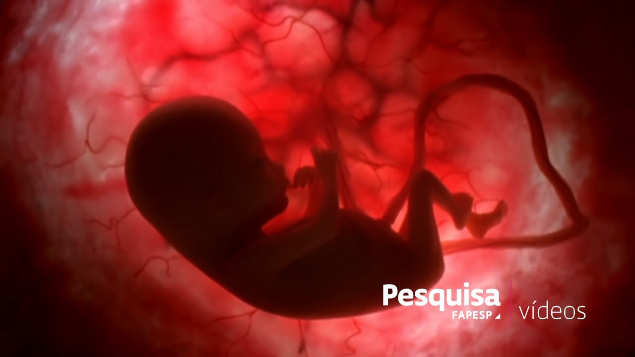 Maria Helena Palma Sircili-8