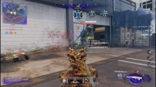 BO7 SwordFish 10cam
