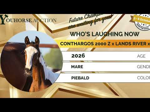 youtube preview