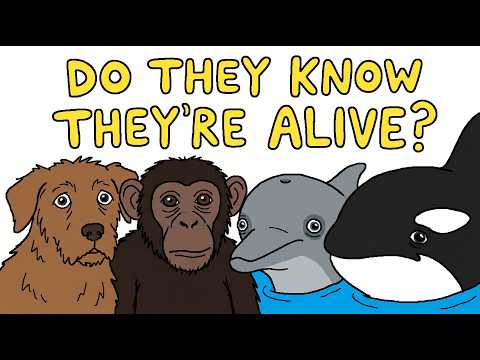 Do Animals Know They Exist?